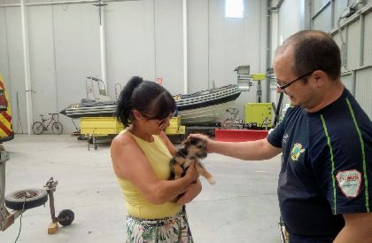 La Polica Local de Lorca rescata a un perro arrojado a un contenedor soterrado del Barrio de San Cristbal