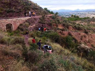 El entorno de Los Pilones acoger este prximo domingo, 17 de noviembre, una nueva jornada de plantacin de rboles 