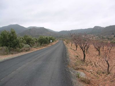 La Comunidad renovar la carretera lorquina de La Pulgara con una inversin de 5,3 millones