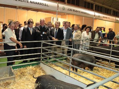Valcrcel anima al sector ganadero del porcino a mantener su ?fortaleza? en los mercados internacionales