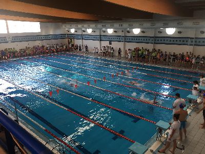 200 nadadores participarn en Lorca en el Campeonato Regional de Natacin de los Juegos Escolares Especiales de FEDEMIPS