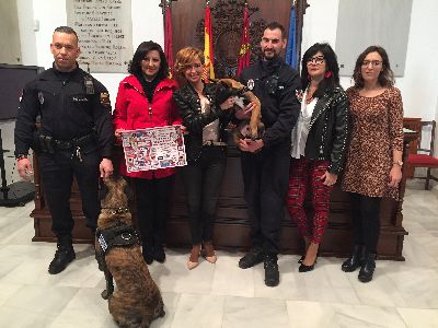 La Asociacin de Vecinos de Alfonso X organiza maana la llegada a Lorca de Pap Noel con regalos para nios y mascotas 
