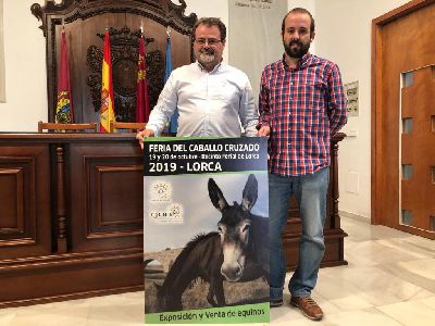 La Feria del Caballo Cruzado de Lorca se celebrar los das 19 y 20 de octubre en el Recinto Ferial del Huerto de La Rueda