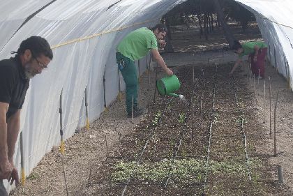14 desempleados lorquinos participan en un curso gratuito de agricultura ecolgica organizado por la Concejala de Empleo y subvencionado por el Servicio Regional de Empleo y Formacin