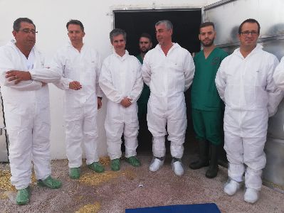 El primer centro regional de inseminacin artificial de porcino en Lorca ampla su capacidad para 40 nuevas cabezas de porcino 