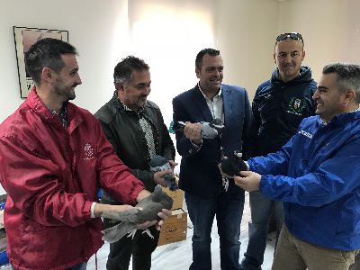 Lorca acoge este prximo fin de semana el ''VI Concurso  Exposicin de Palomas de Raza Autctonas Murcianas''