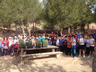55 alumnos de 4 de Primaria del Colegio Sagrado Corazn y la Concejala de Parques del Ayuntamiento de Lorca plantan 250 pinos en el entorno del Parque Diario La Verdad