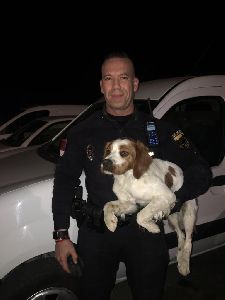 Agentes de la Polica Local salvan, gracias a la colaboracin ciudadana, la vida a un perro que estuvo a punto de ahogarse en un embalse 