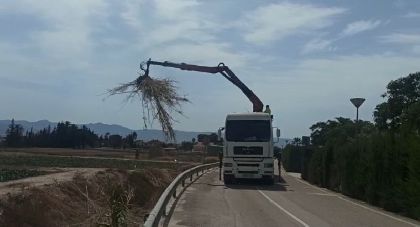 El Ayuntamiento de Lorca lleva a cabo la limpieza del tramo urbano de la rambla Ylorci situada en la pedana de Tercia