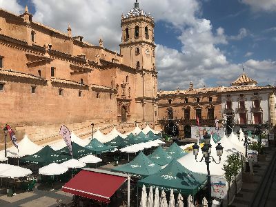Lorca se une a la celebracin del Da Mundial del Turismo este jueves ofreciendo de manera totalmente gratuita una visita guiada a la excolegiata de San Patricio y las tres plazas que la rodean