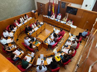 Balance de votaciones del Pleno Ordinario del Ayuntamiento de Lorca correspondiente al mes de julio