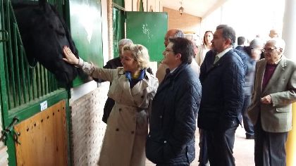 El Alcalde de Lorca y la Consejera de Agricultura visitan las instalaciones del Centro de Inseminacin Equina con motivo de la parada de sementales