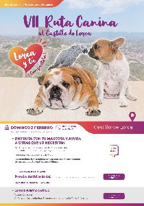 La VII Ruta Canina solidaria hasta el castillo de Lorca con motivo de la festividad de San Antn ser este domingo, 2 de febrero