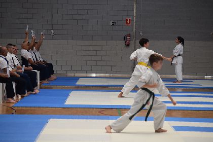 150 luchadores de 14 escuelas participan en la competicin de Karate WKB de los Juegos Deportivos del Guadalentn