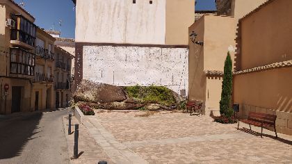 El Ayuntamiento de Lorca inicia la inmediata recolocacin del jardn vertical de la Plaza de La Curia